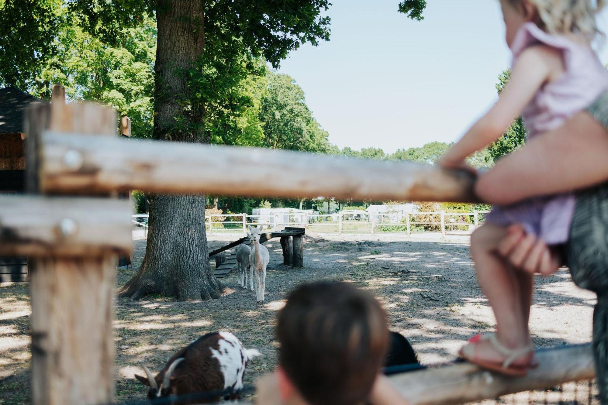Sfeervolle Blokhut Met Fijne Buitenruimte @ Veluwe เอเปอ ภายนอก รูปภาพ